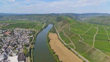 Leiwen ve Trittenheim, Mosel nehri döngüsüne sahip Moselle Vadisi, hava manzarası, sarmaşıkta yetişen şarap, üzüm bağı manzarası ve tarım, Almanya