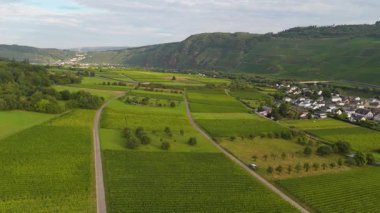 Kinheim Kroev köyü, Bernkastel yakınlarındaki Moselle vadisi, hava manzarası, Mosel manzarası, üzüm bağı dağı, Rhineland Palatinate, Almanya