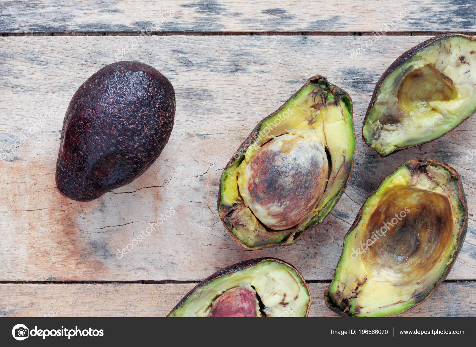 30+ Rotten Avocado Stock Videos and Royalty-Free Footage - iStock