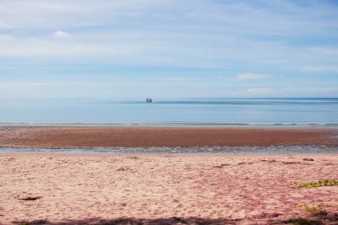 kat mavi gökyüzü ile sahilde.