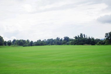 Parkta çim ve beyaz gökyüzü.