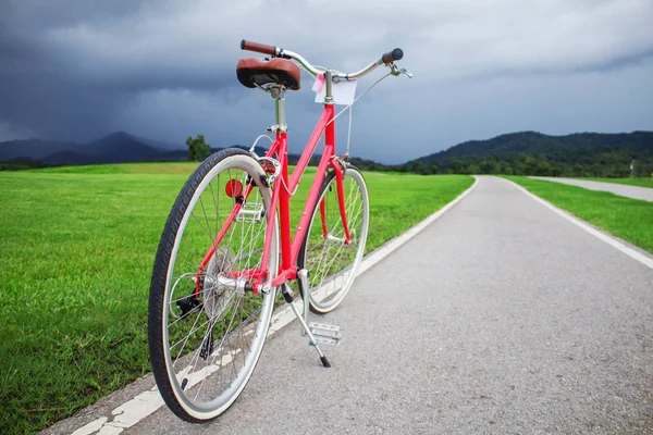 Bicicleta Roja Camino Parque —  Fotos de Stock