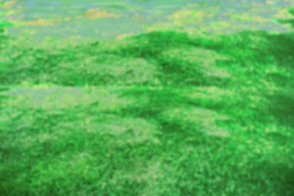 Green Lawn Blurred Background Image — Stock Photo, Image