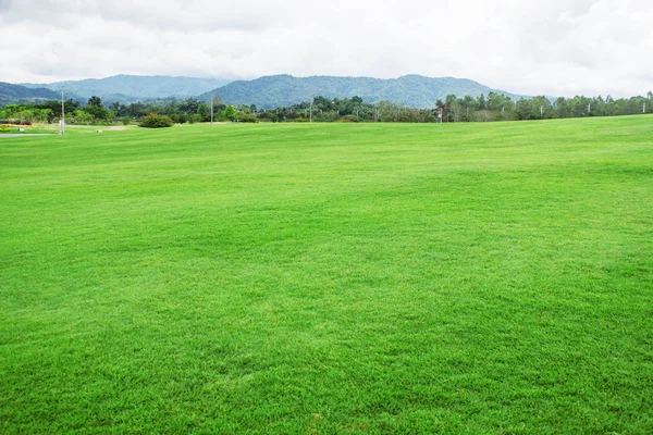 Gramado Verde Com Montanha Fundo — Fotografia de Stock