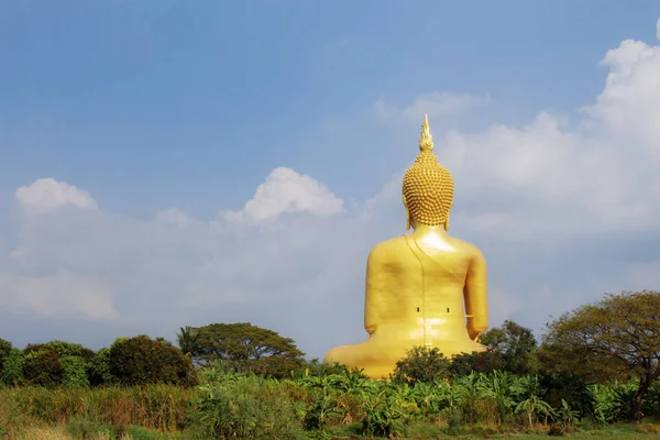 Buddha Vissza Vidéken Természettel — Stock Fotó