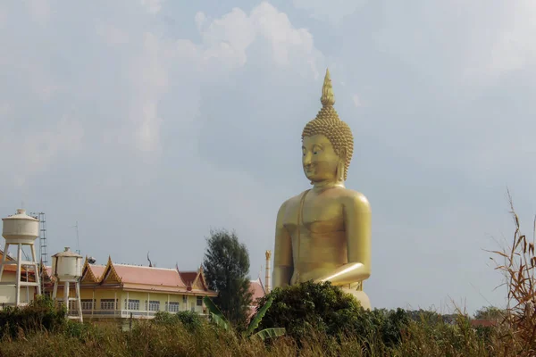 Великий Будда Полях Сільської Місцевості — стокове фото
