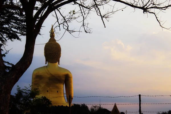 Buddha Och Träd Med Sol Uppgången Morgonen — Stockfoto