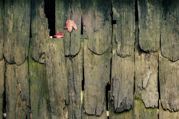 Alte Holz Und Ahornblätter Mit Hintergrundstruktur — Stockfoto