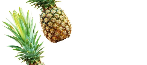 Ananas Bladeren Van Verse Een Witte Achtergrond — Stockfoto