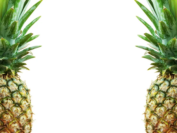 Ananas Met Een Witte Achtergrond — Stockfoto