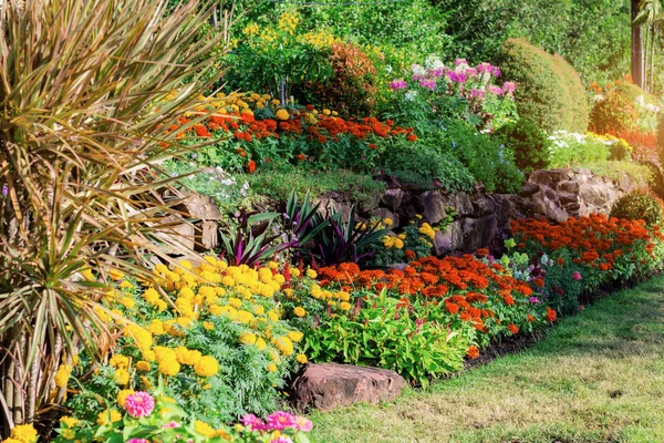 Renkli çiçek ve Bahçe süs.