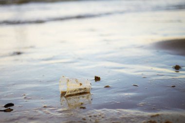 Sahilde Deniz kenarındaki çöp.