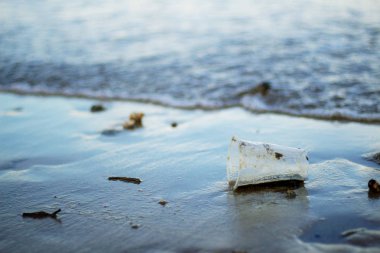 Plajda denizin üzerinde kir ile çöp.