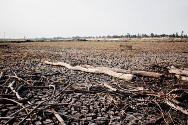 Woods kurur gökyüzü ile kurak topraklarında.