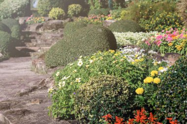 Güneş ışığı bahçesinde bulunan süs süslü.