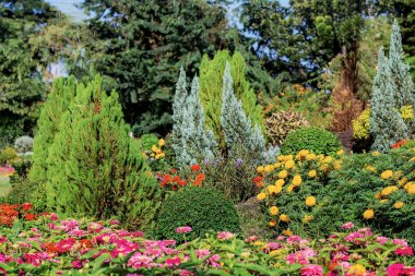 Renkli çiçek ve Bahçe ağacında.