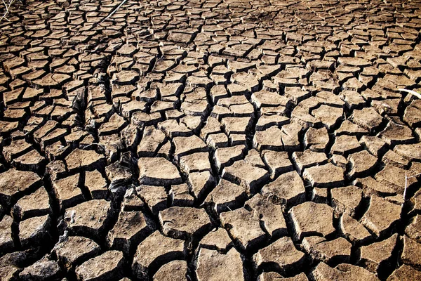 Dry ground of cracked in the summer with texture background.