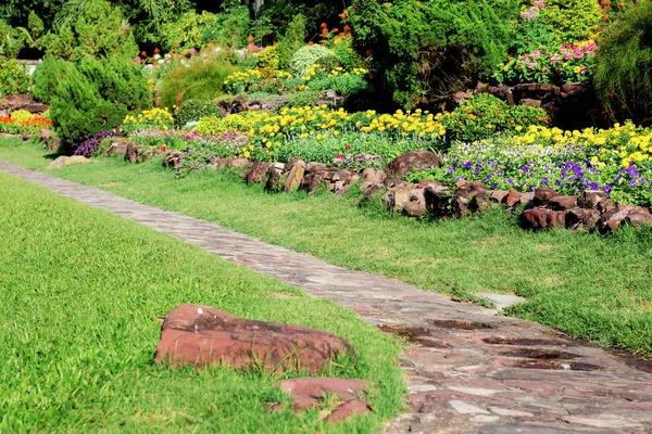 Footpath Grass Garden Sunlight — Stock Photo, Image