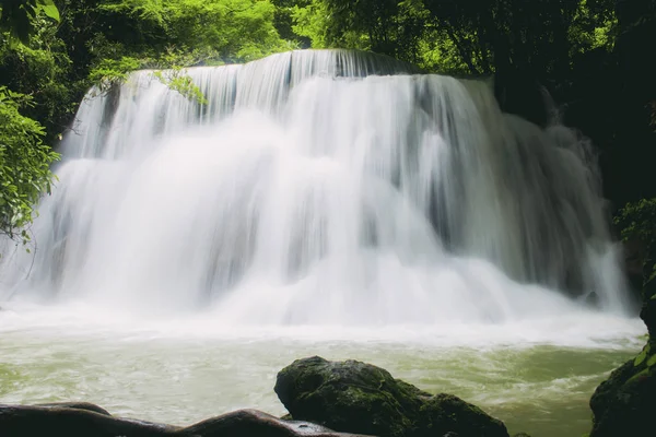 Şelale ve ağaç ile güzel yağmur mevsimi.
