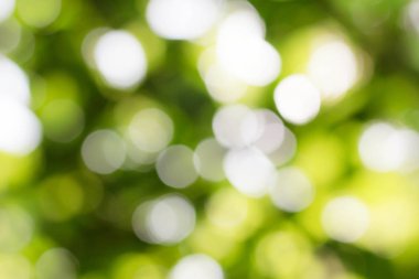 Bulanık bir arka plan ile güzel bokeh.