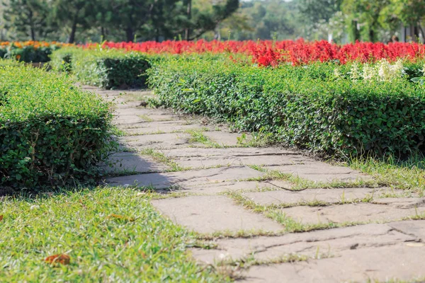 色鮮やかな庭園 庭園の歩道 — ストック写真