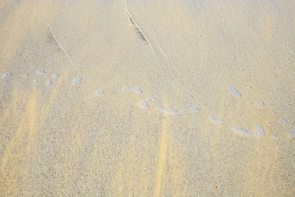 Песчаный Пляж Море Фоне Текстуры — стоковое фото