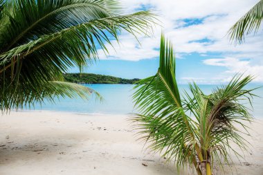 Hindistan cevizi ağacı Adası mavi gökyüzü ile sahilde.