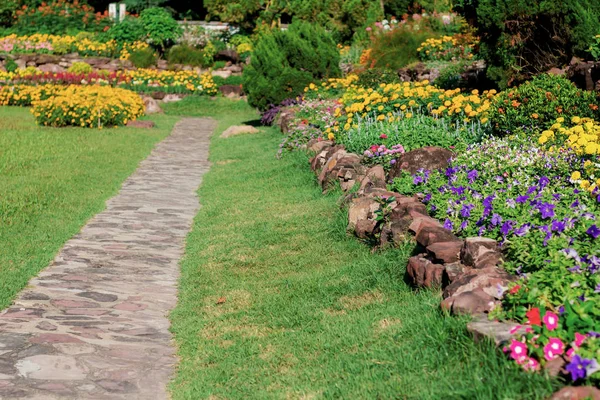 Garden Walk Grass Morning Sunlight — Stock Photo, Image