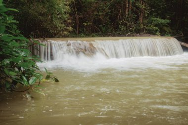 Bahar orman şelale.