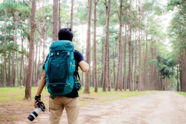Fotoğrafçı ve çam ağacı Parkı'nda kışın seyahat.
