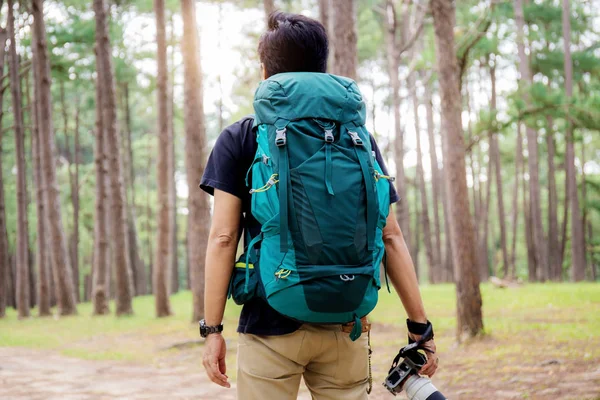 Kışın çam ağacı Parkı üzerinde seyahat ile fotoğrafçı.