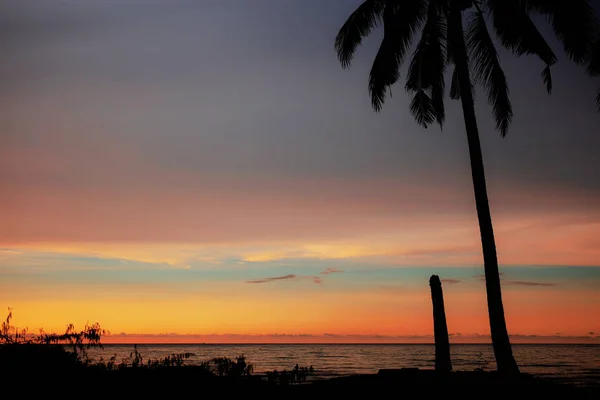 Silhouette Von Palme Und Baumstumpf Bei Sonnenuntergang Mit Farbigem Himmel — Stockfoto