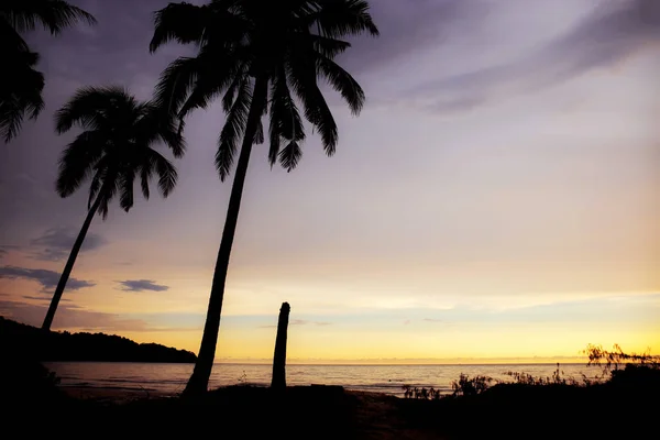 Silhouette Einer Palme Meer Mit Himmel — Stockfoto