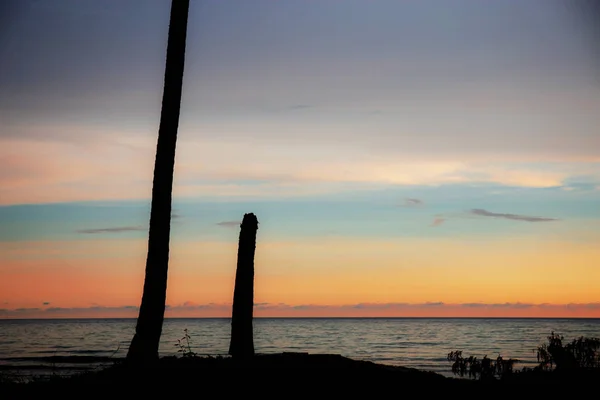 Silhouette Stump Palm Tree Sunset Colorful Sky — Stock Photo, Image