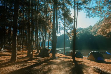 River gündoğumu ile kamp.