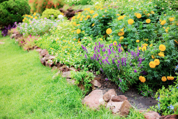 Цветок в саду на рассвете
.