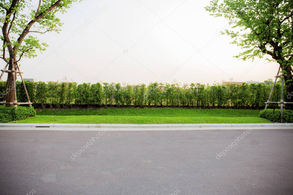 Trees on lawn in park.