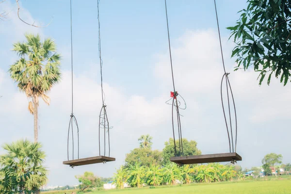 Swing on tree in countryside.