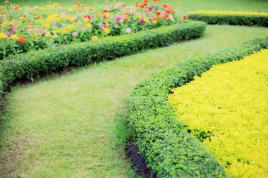 Bahçede yürüyüş yolu.