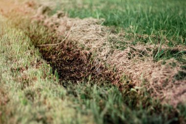 Parkta çim biçme ve saman yolu.