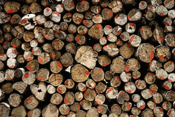 Log Piles Old Lumber Industry Background — Stock Photo, Image