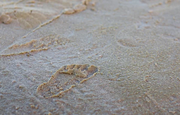 Footprints Sand Textured Background — Stock Photo, Image