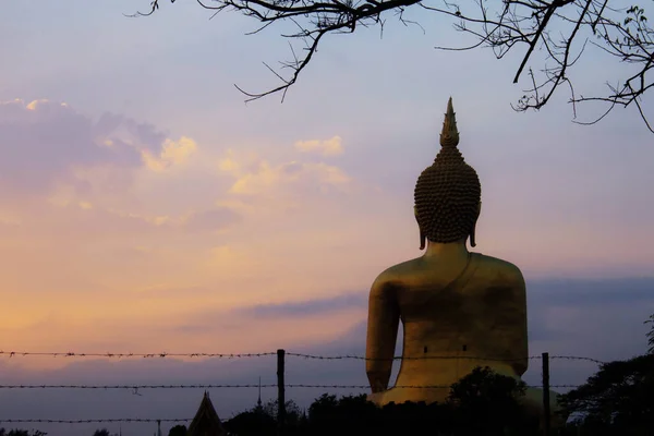 Buddha Campo Albero Con Alba — Foto Stock