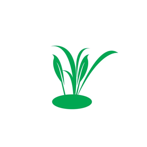 Natural Grass Ilustration Vector Desig — 스톡 벡터