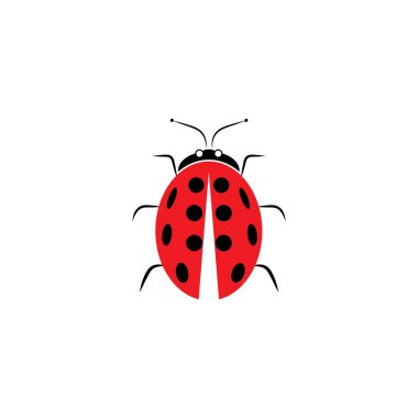 Uğur böceği vektörü tasarım temposu