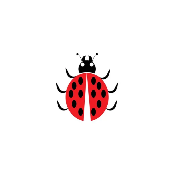 Ladybug Vector Design Icon Templa — Stock Vector