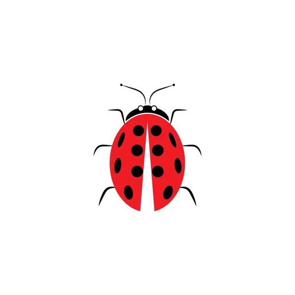 Ladybug Vector Design Icon Templa — Stock Vector