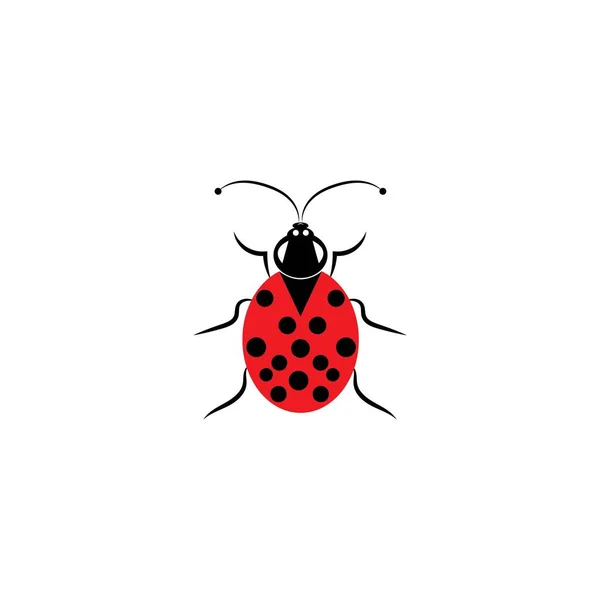 Coccinelle Vecteur Design Icône Templa — Image vectorielle