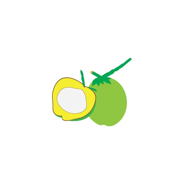 Lumière Vert Noix Coco Vecteur Conception Ilustration Icône Templa — Image vectorielle