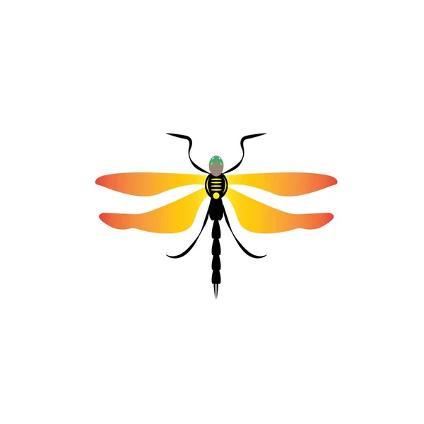 Dragonfly Vector Diseño Ilustración Icono Logo Templa — Archivo Imágenes Vectoriales